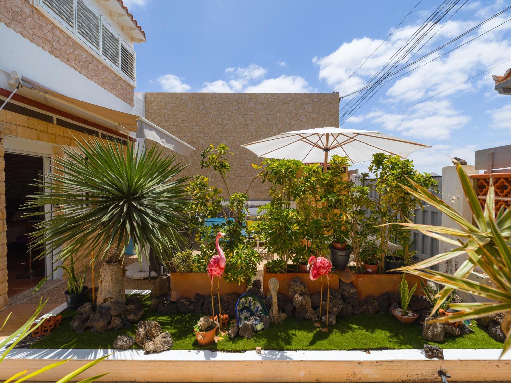 Solo Adultos, Las Tuneras Rooms ลาโอลีวา ภายนอก รูปภาพ